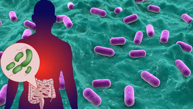 Gut-Bacteria-Microbiome1